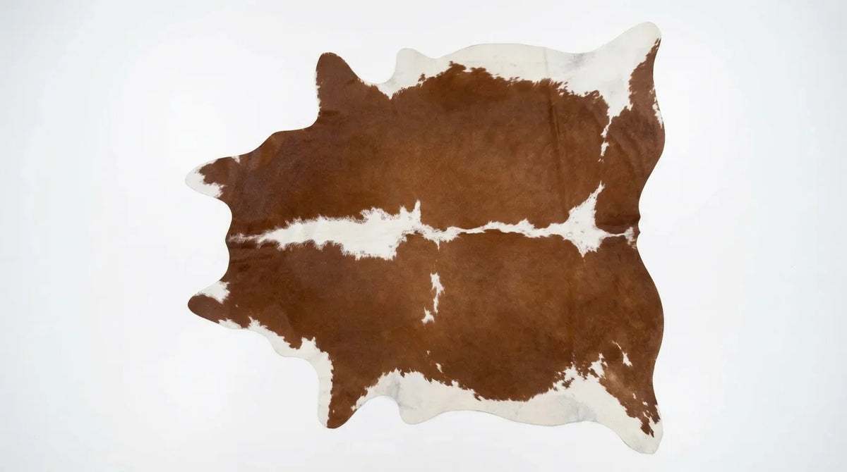 Brown and White cowhide rug flat lay on white background showing full hide shape