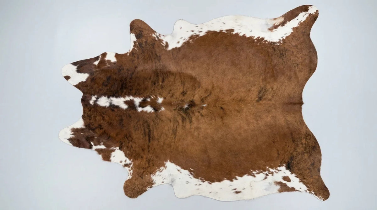 Brown and White cowhide rug flat lay on white background showing full hide shape
