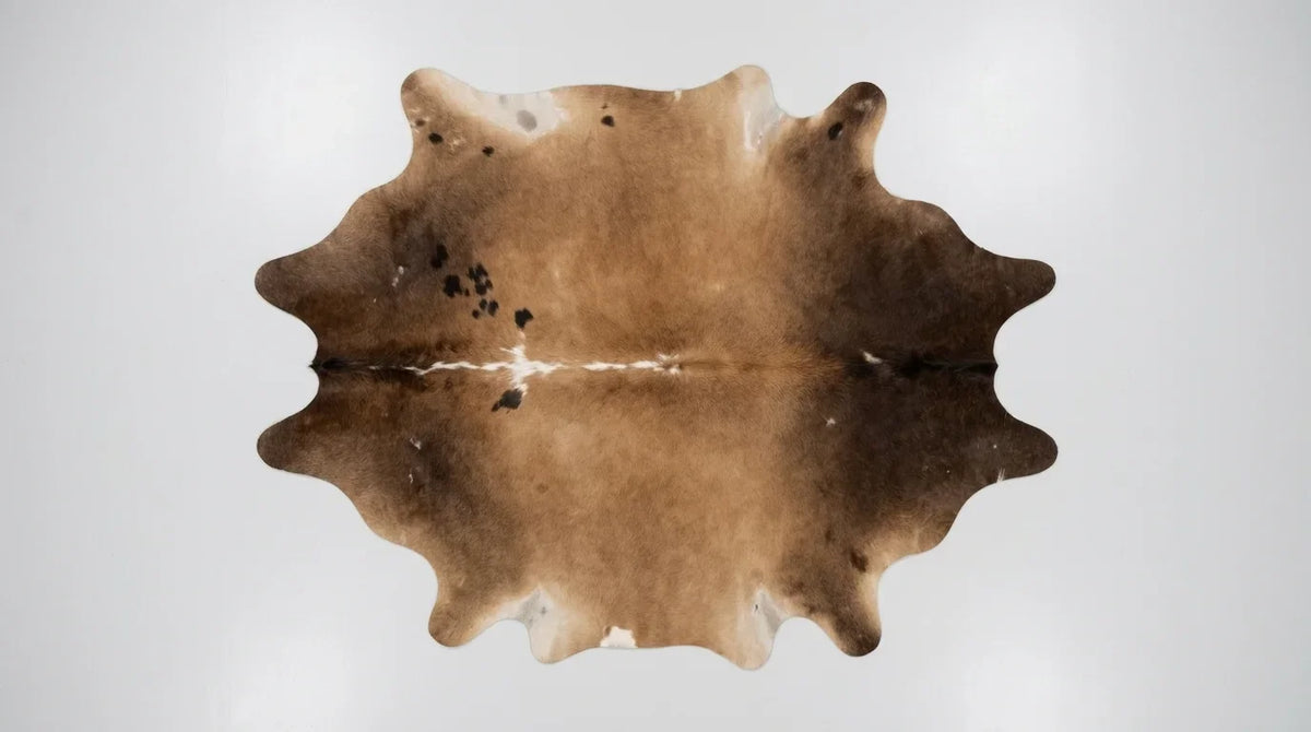 Brown and White cowhide rug flat lay on white background showing full hide shape