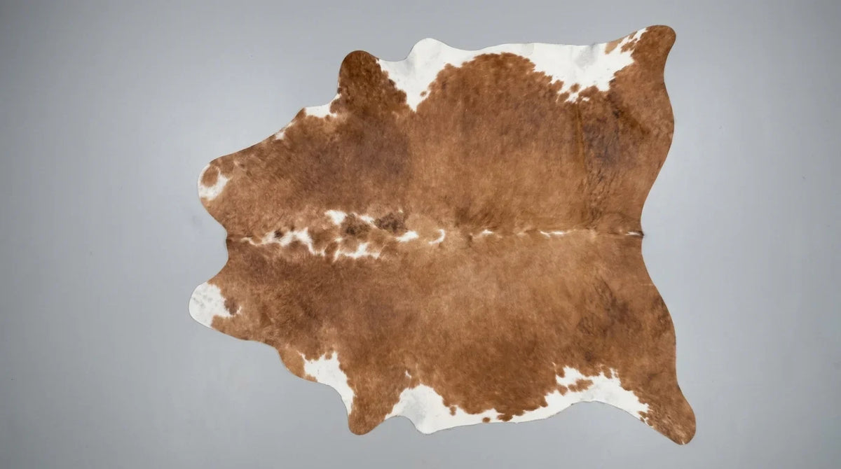 Brown and White cowhide rug flat lay on white background showing full hide shape
