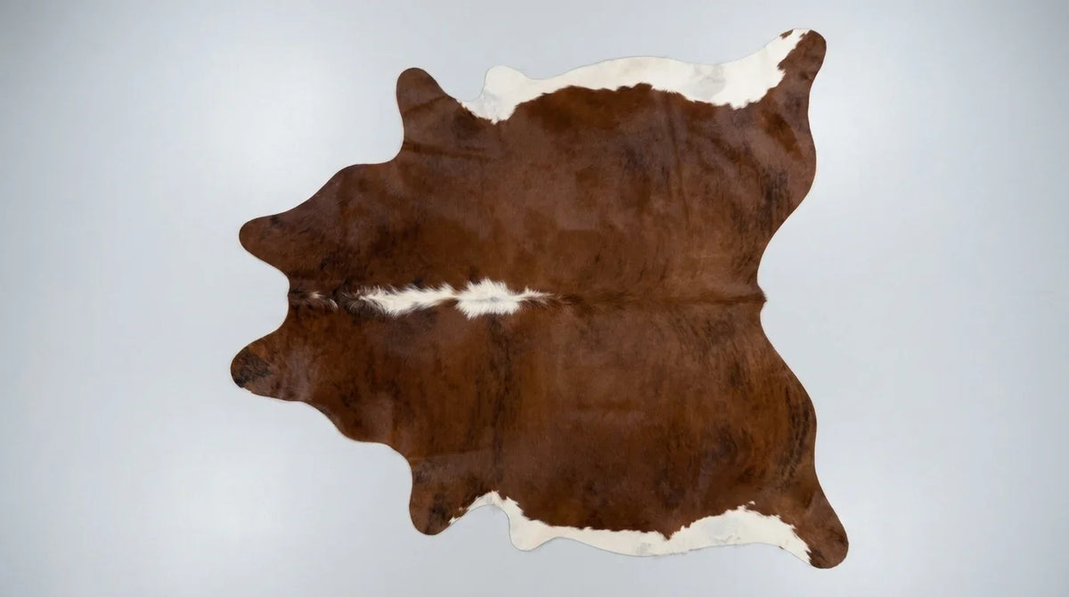 Brown and White cowhide rug flat lay on white background showing full hide shape