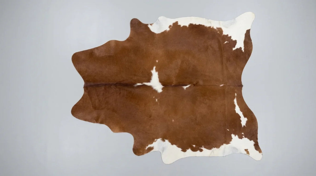 Brown and White cowhide rug flat lay on white background showing full hide shape