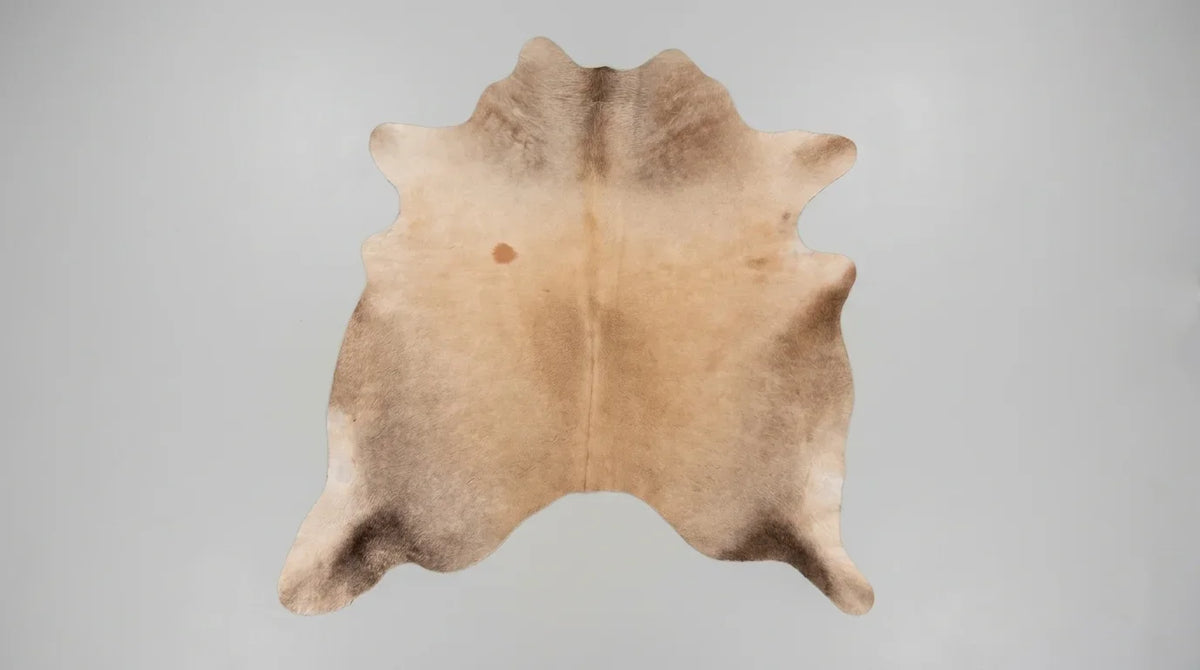 Brown and White cowhide rug flat lay on white background showing full hide shape