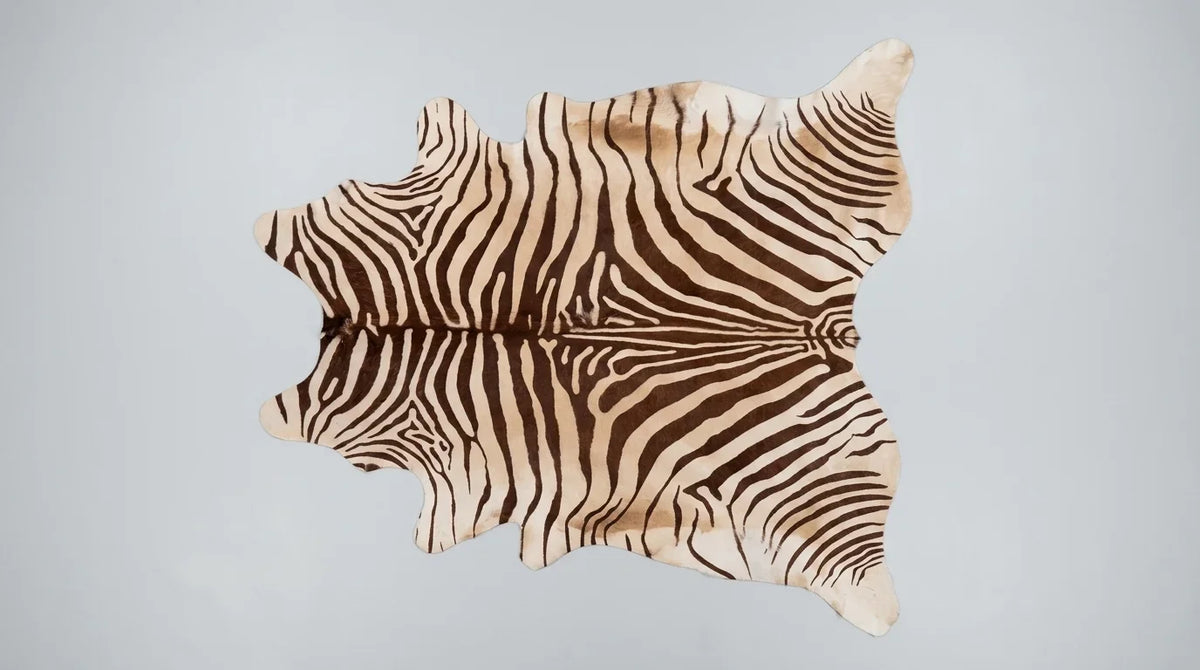 Brown and White cowhide rug flat lay on white background showing full hide shape