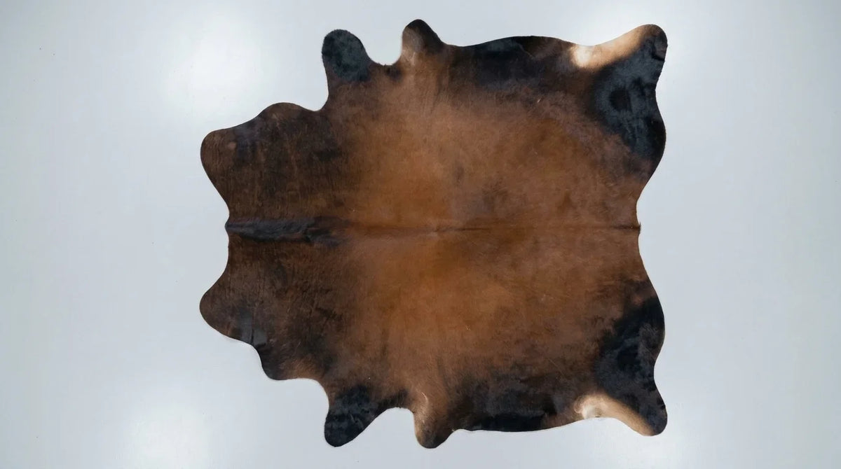 Brown and White cowhide rug flat lay on white background showing full hide shape