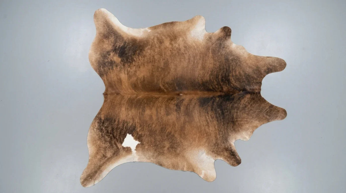 Brown and White cowhide rug flat lay on white background showing full hide shape