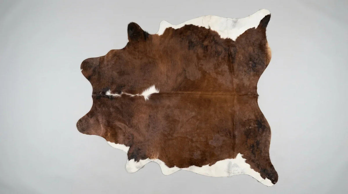 Brown and White cowhide rug flat lay on white background showing full hide shape
