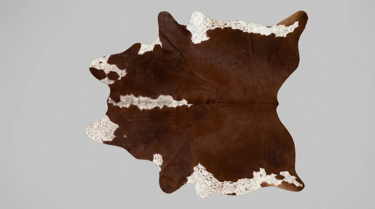 Brown and White cowhide rug flat lay on white background showing full hide shape