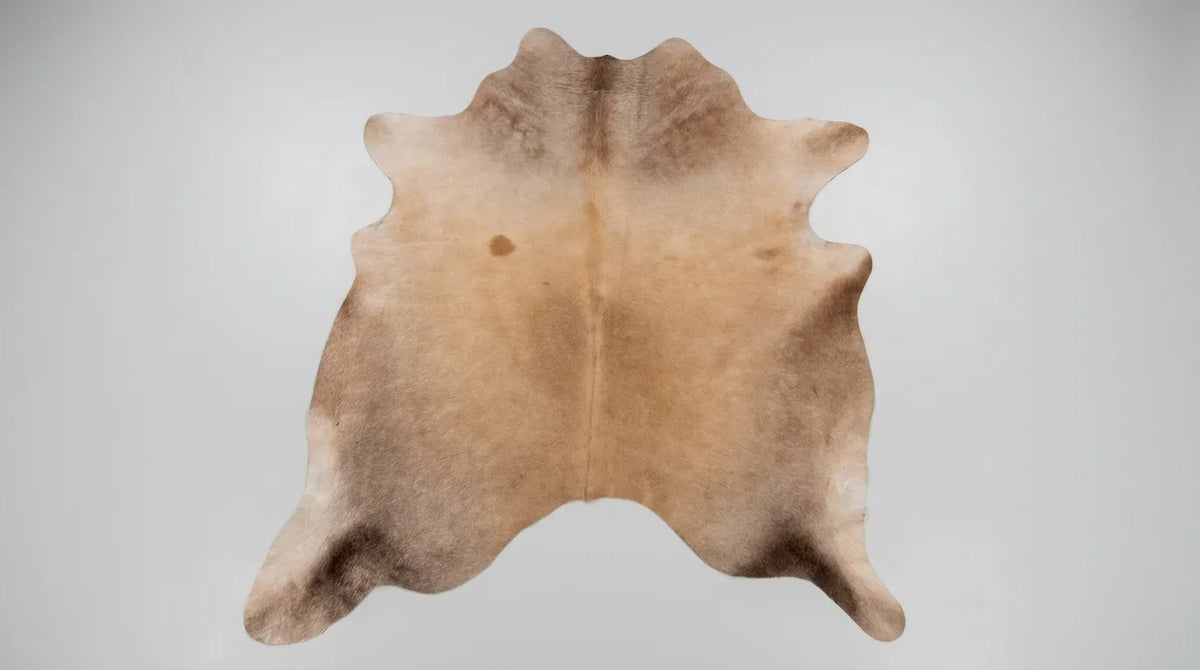 Brown and White cowhide rug flat lay on white background showing full hide shape