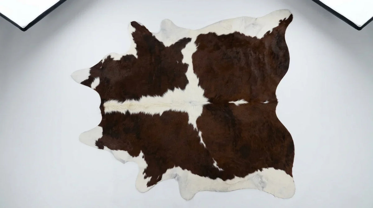 Brown and White cowhide rug flat lay on white background showing full hide shape