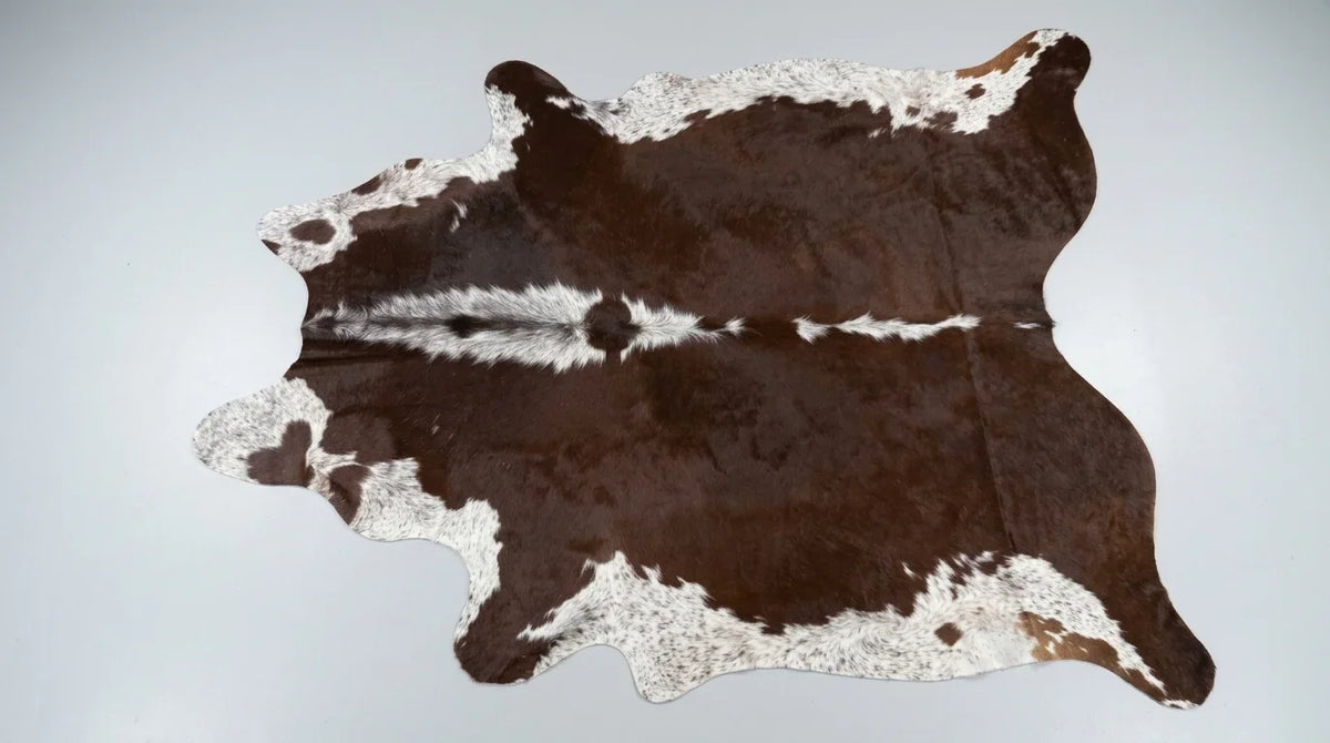 Brown and White cowhide rug flat lay on white background showing full hide shape