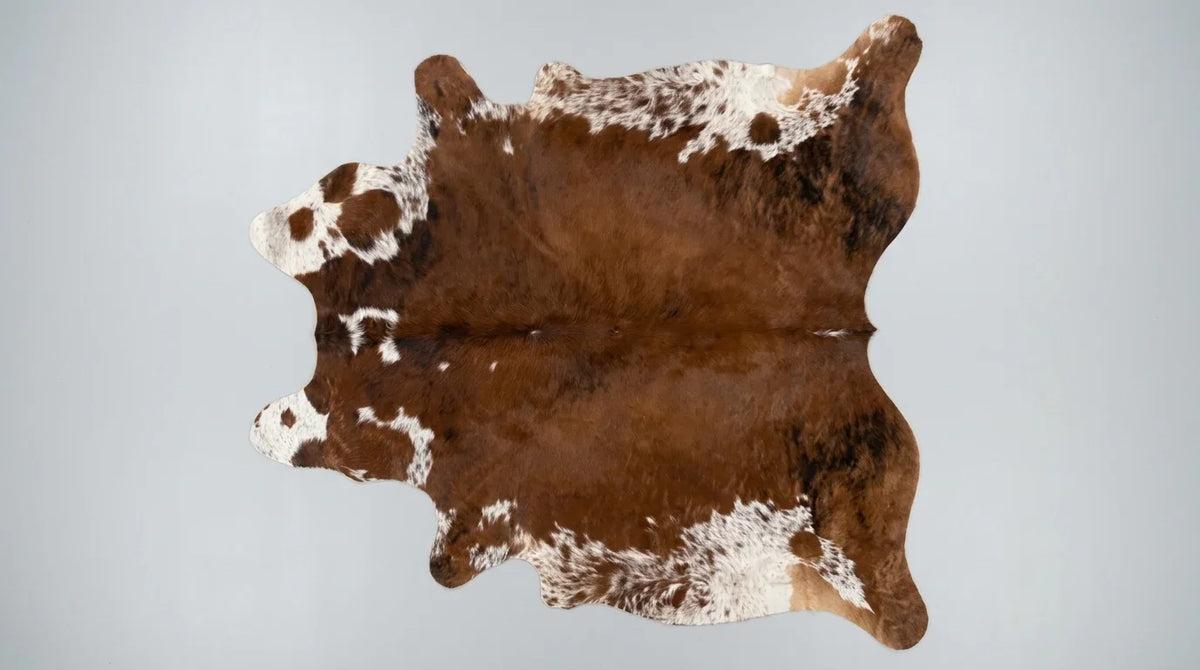 Brown and White cowhide rug flat lay on white background showing full hide shape