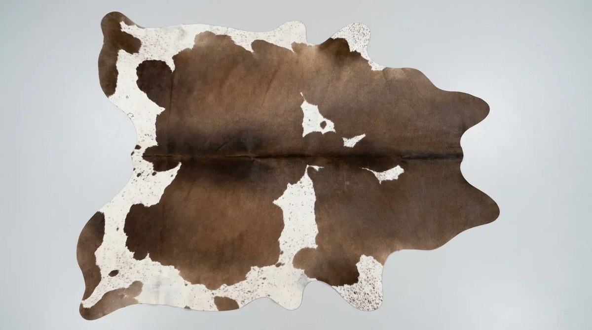 Brown and White cowhide rug flat lay on white background showing full hide shape