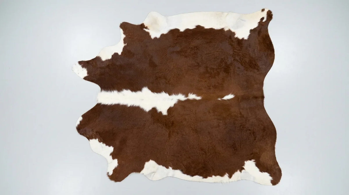 Brown and White cowhide rug flat lay on white background showing full hide shape