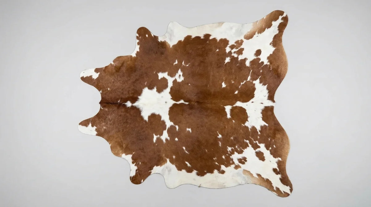 Brown and White cowhide rug flat lay on white background showing full hide shape