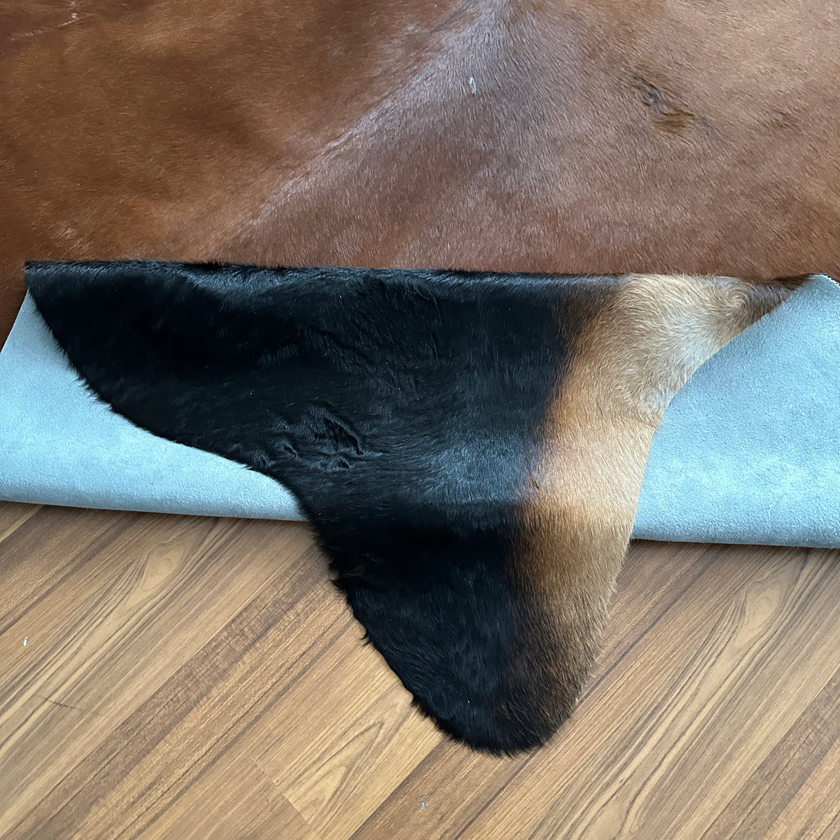 Close-up texture of Brown and White cowhide rug — Large irregular dark brown patches over light tan and cream base with natur