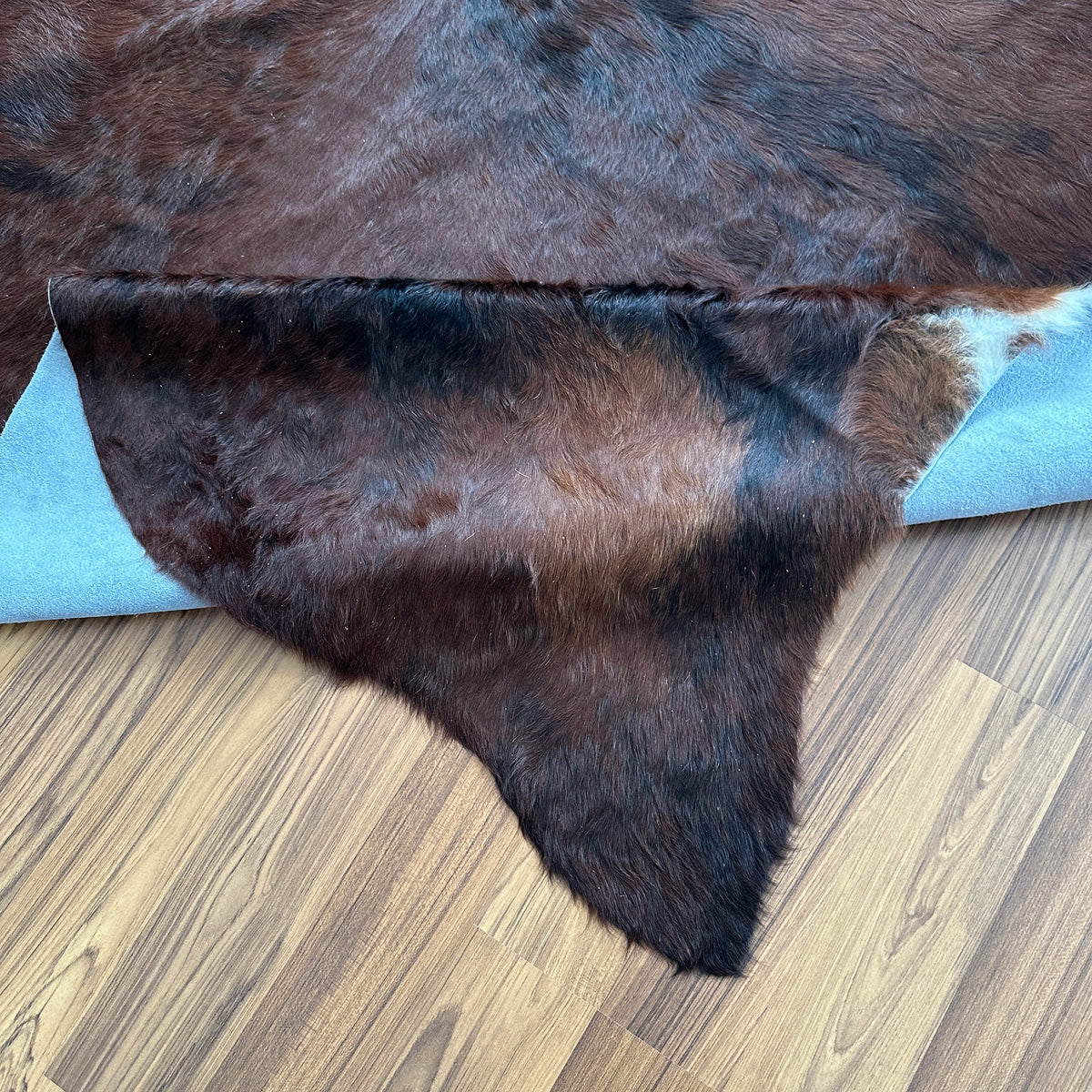 Close-up texture of Brown and White cowhide rug