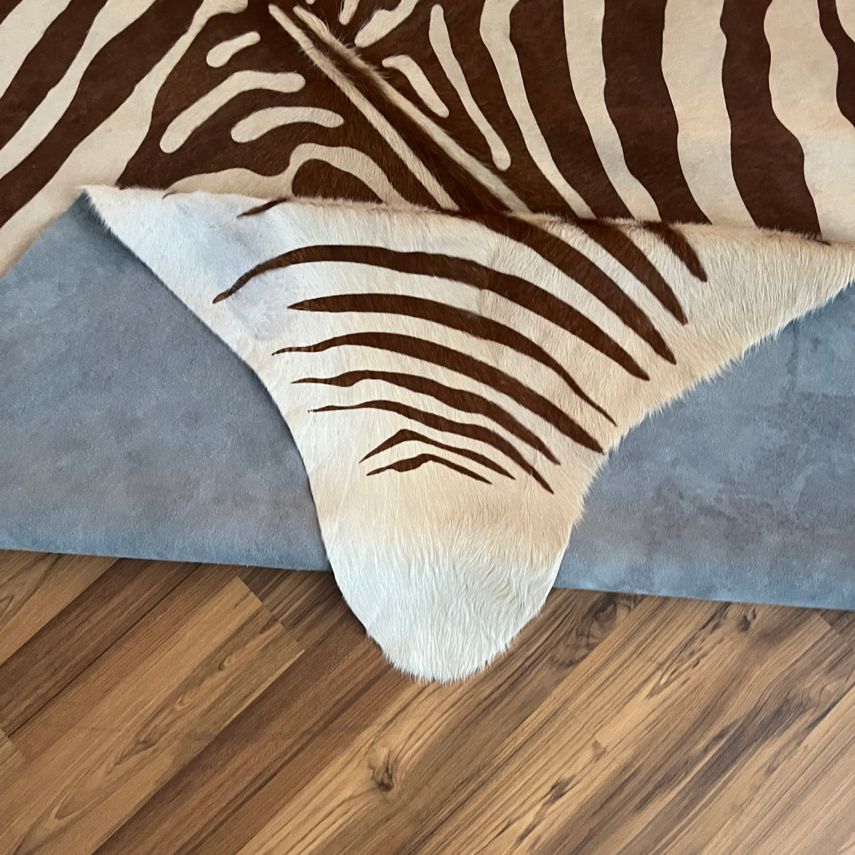 Close-up texture of Brown and White zebra print cowhide rug — Bold zebra stripes radiating from center, dark brown on cream b