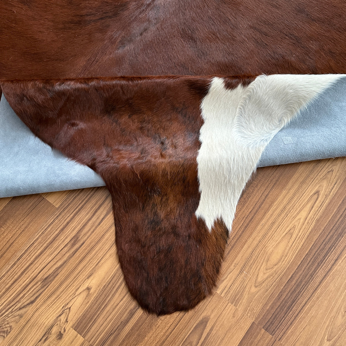 Close-up texture of Brown and White cowhide rug — Large irregular dark brown patches with white markings across natural hide