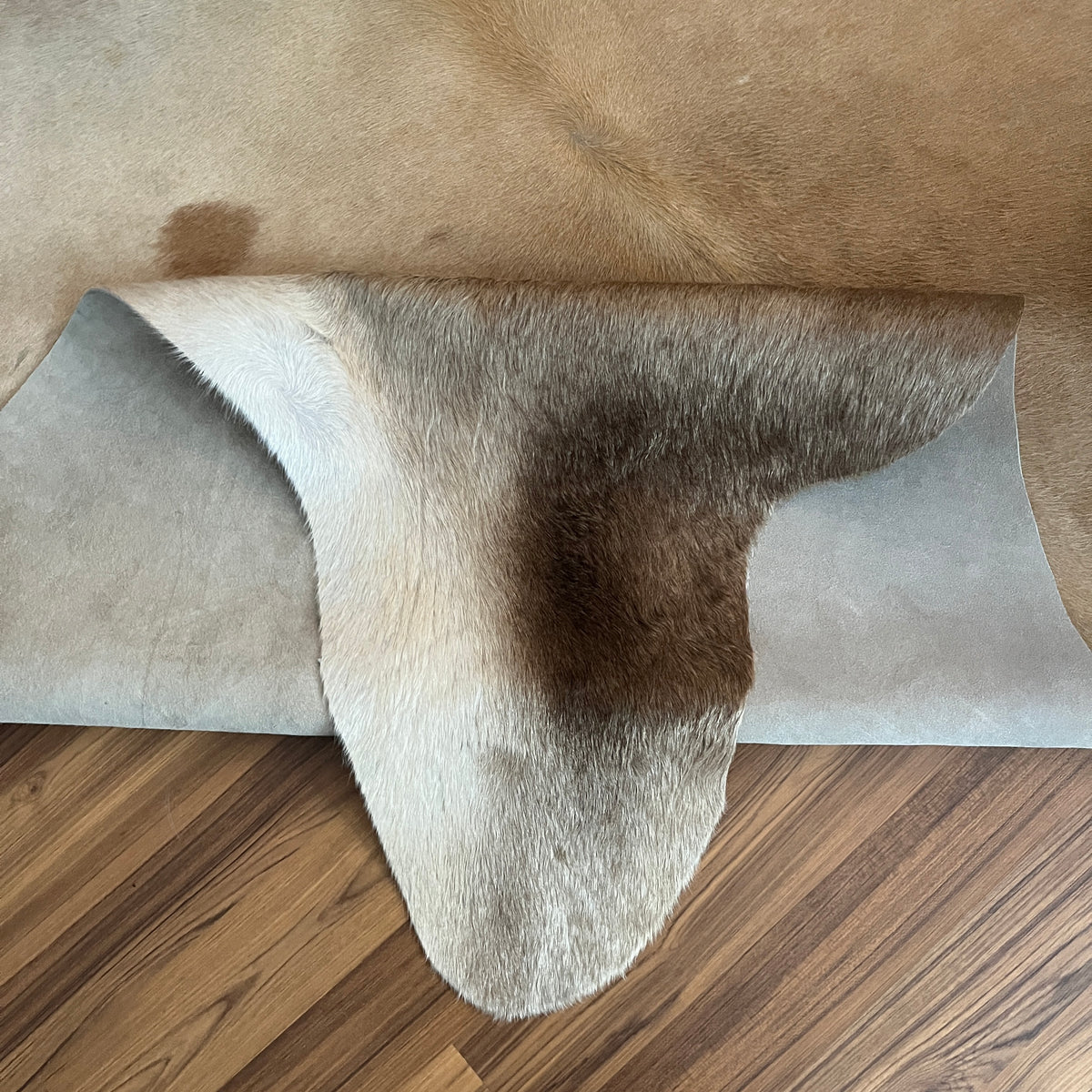 Close-up texture of Brown and White cowhide rug — Large irregular brown patches over cream and white base with natural hide m