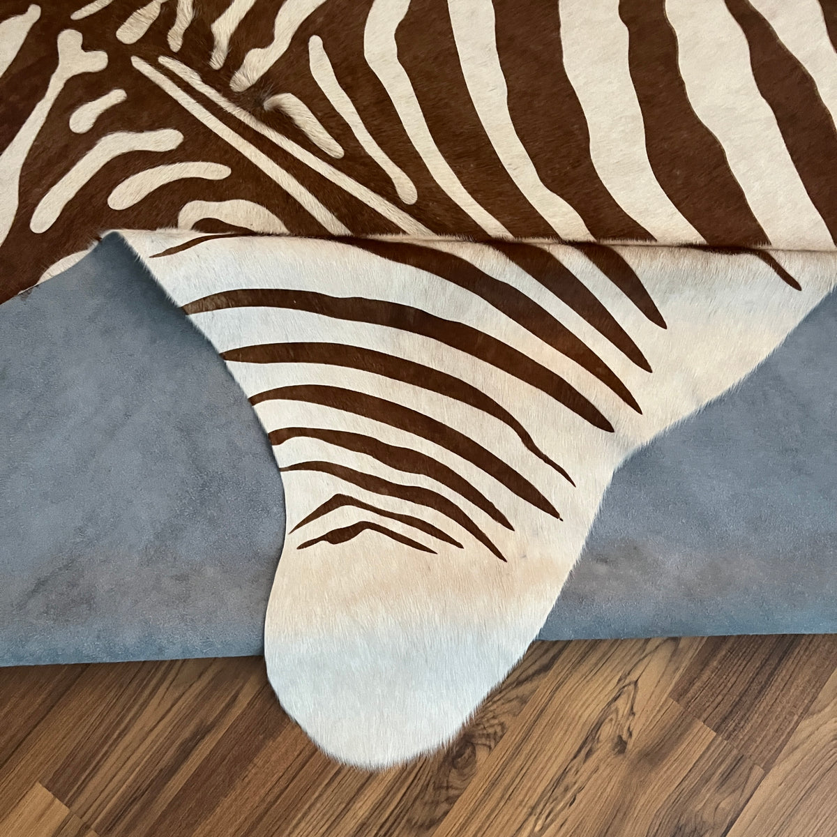 Close-up texture of Brown and White zebra print cowhide rug — Bold brown stripes radiating from center spine over cream base,