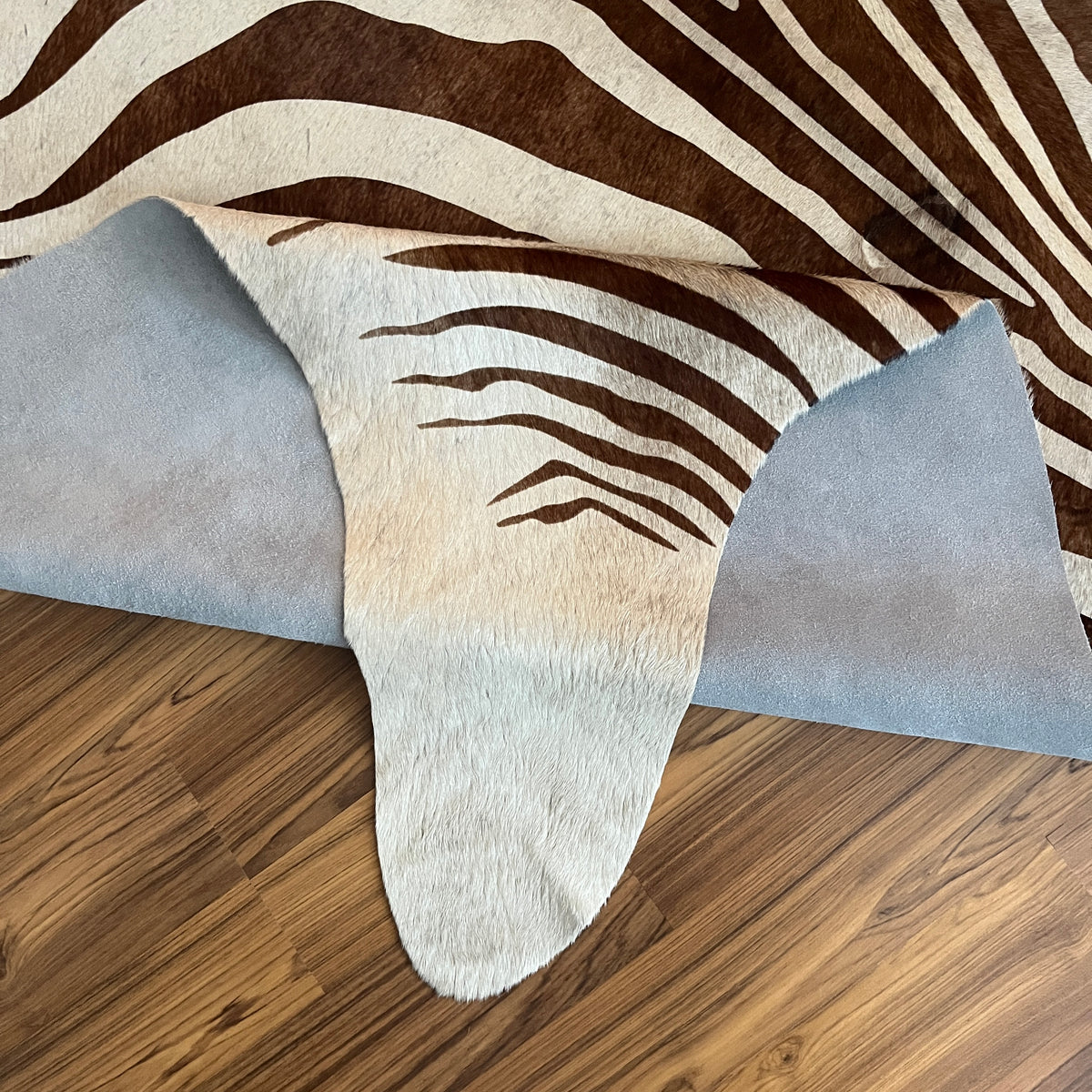 Close-up texture of Brown and White zebra print cowhide rug — Bold radiating zebra stripes in dark brown flowing across cream