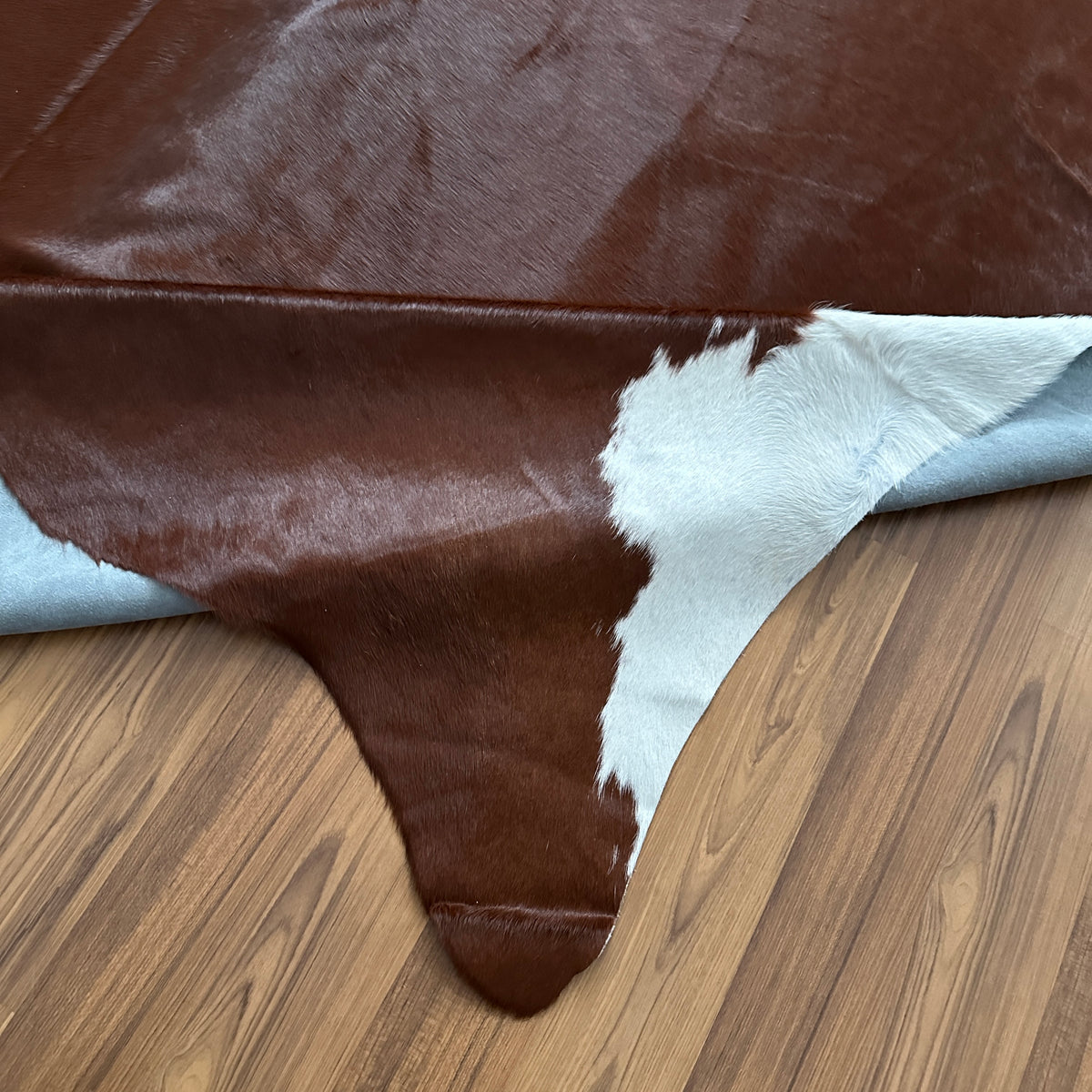 Close-up texture of Brown and White cowhide rug