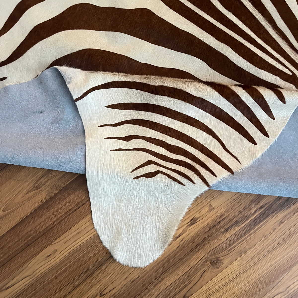 Close-up texture of Brown and White zebra print cowhide rug — Bold zebra stripes radiating from center, dark brown on cream b