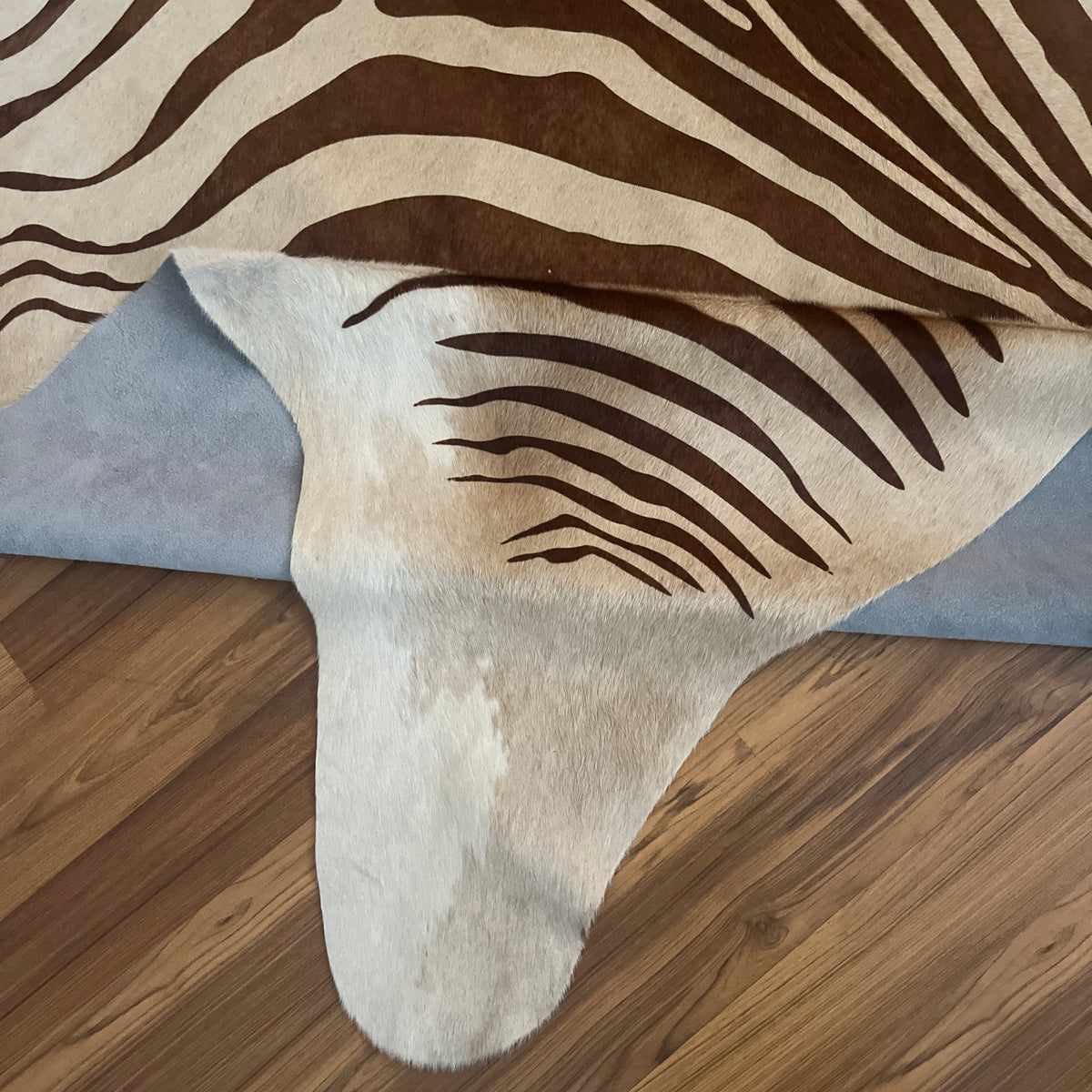 Close-up texture of Brown and White zebra print cowhide rug — Bold dark brown stripes radiating downward in zebra-like patter