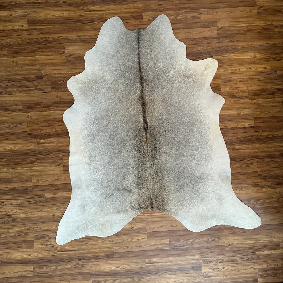 Grey cowhide rug, full overhead view — Fine salt and pepper speckle with darker striping along center spine