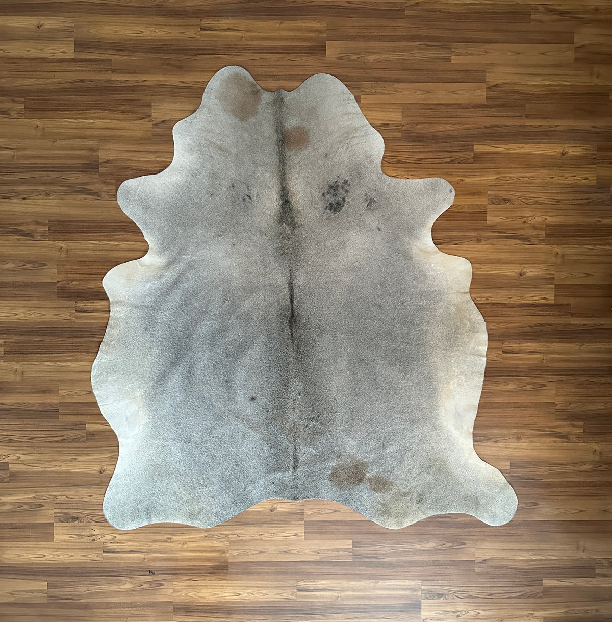 Grey cowhide rug, full overhead view — Fine salt and pepper speckle with subtle darker patches throughout
