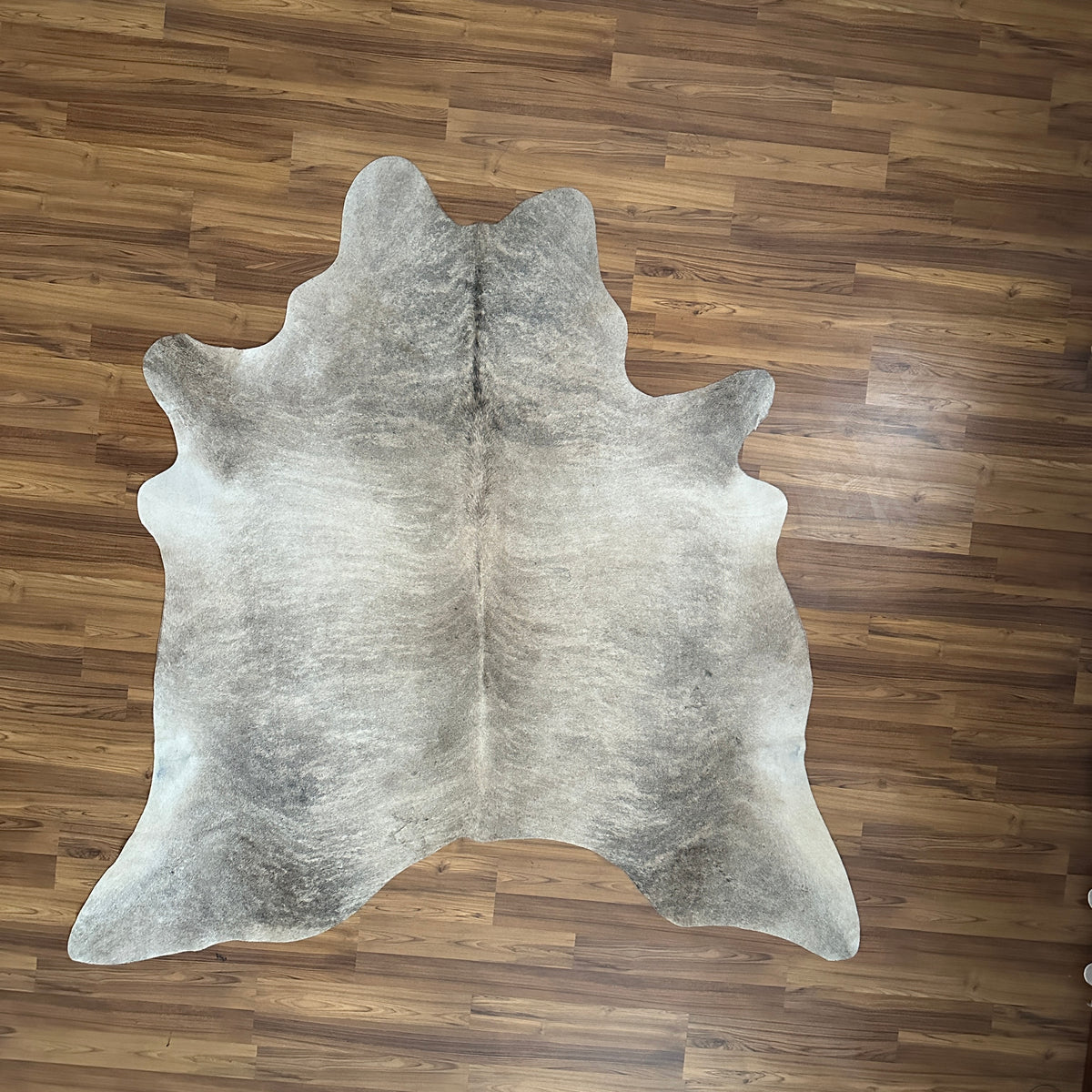 Grey cowhide rug, full overhead view — Fine salt and pepper speckle with darker grey patches on cream base