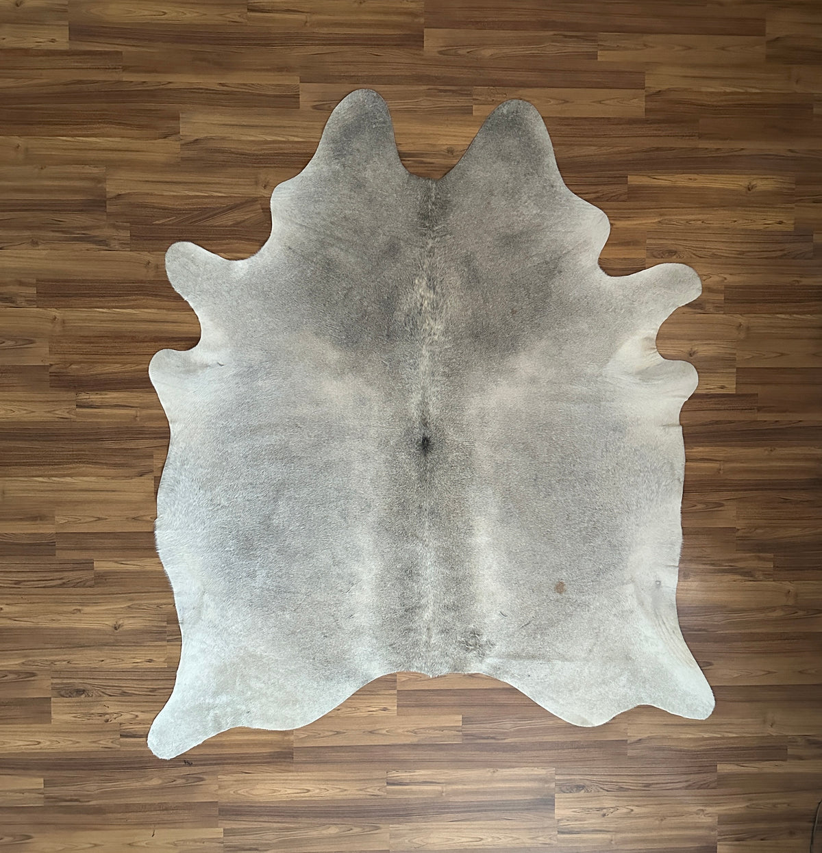 Grey cowhide rug, full overhead view — Large irregular patches with darker grey markings over light grey base
