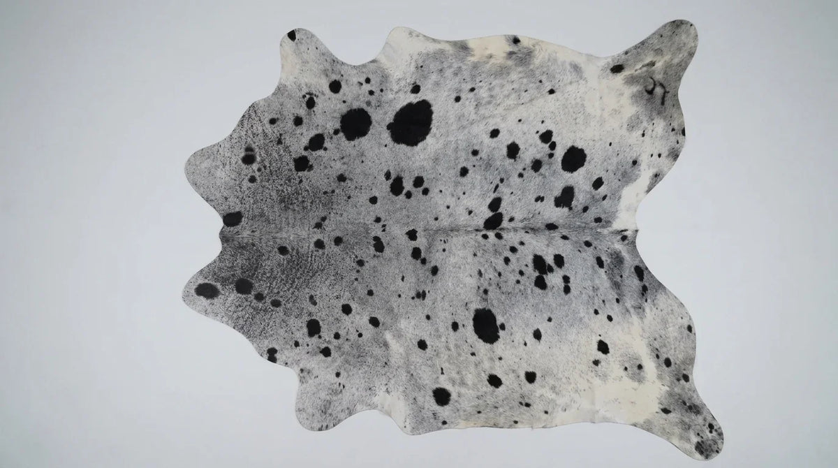 Kuhfell in Grau mit Salt-and-Pepper-Muster, auf weißem Hintergrund, Draufsicht, ganze Fellform sichtbar