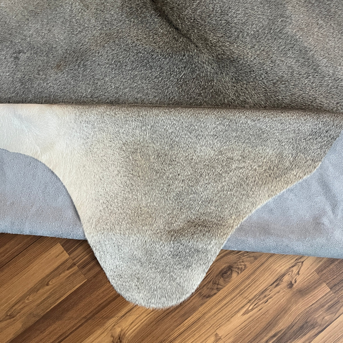 Close-up texture of Grey cowhide rug — Fine salt and pepper speckle with subtle darker patches throughout