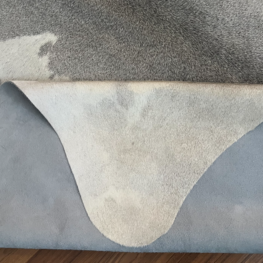Close-up texture of Grey cowhide rug — Large irregular grey patches over cream and white base with darker spine stripe