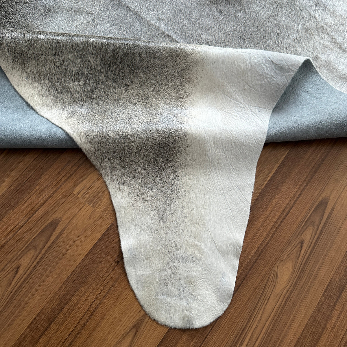 Close-up texture of Grey cowhide rug — Large irregular patches of dark and light grey over cream base with natural mottling