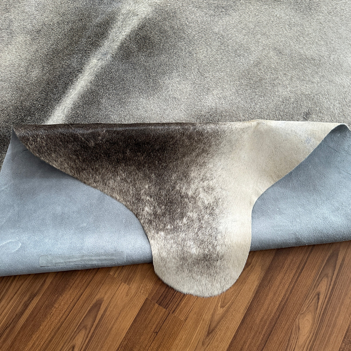 Kuhfell in Grau mit Salt-and-Pepper-Muster, Nahaufnahme der Textur