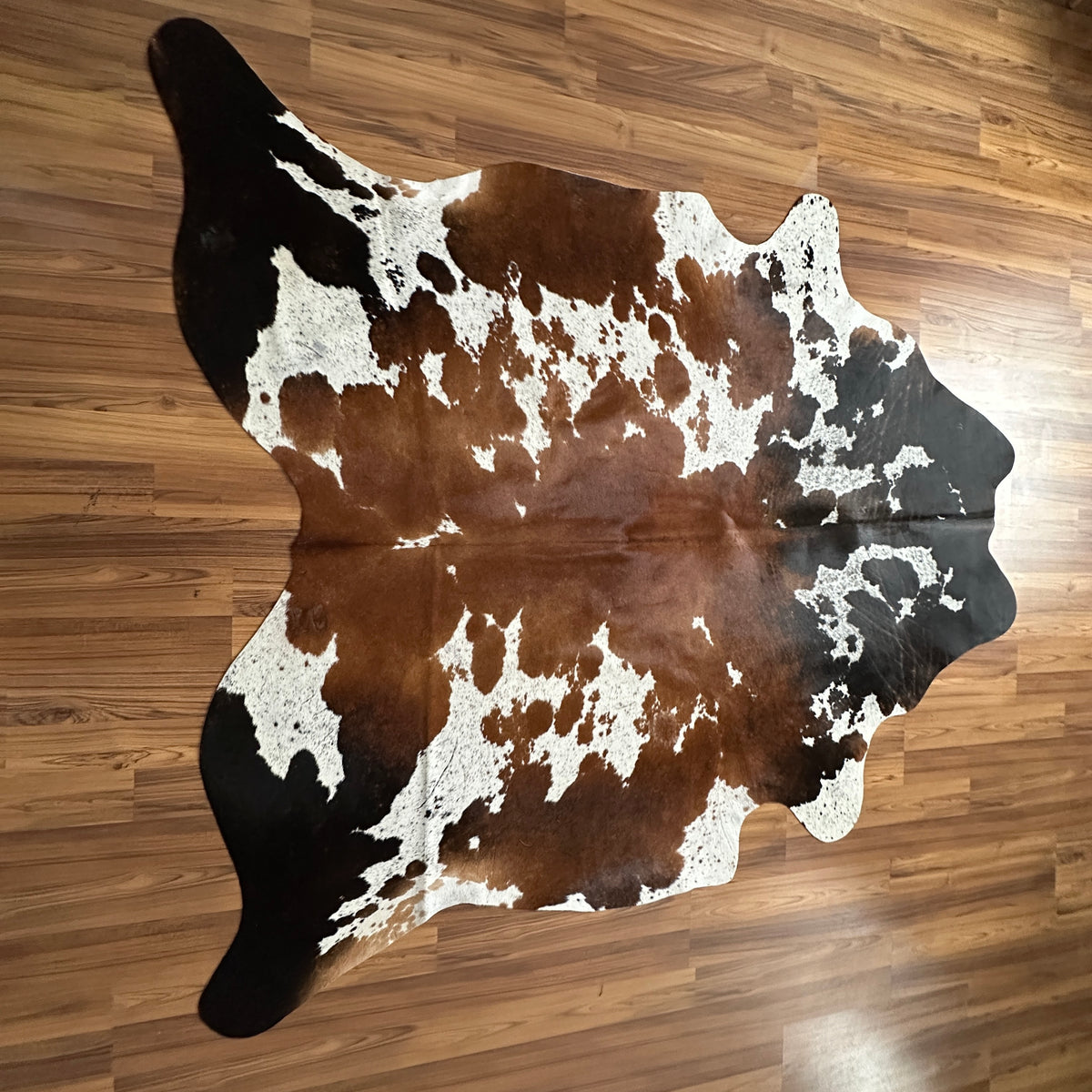 Tricolor tricolor cowhide rug, full overhead view — Large irregular brown and black patches with cream and white undertones a