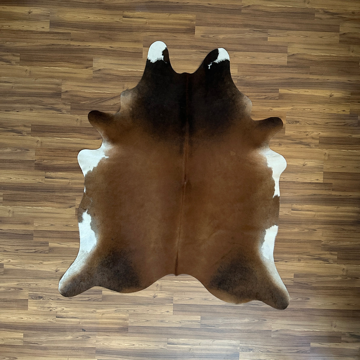 Tricolor tricolor cowhide rug, full overhead view — Brown, black, and white irregular patches with natural hide markings
