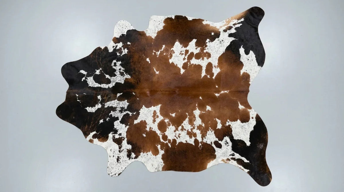 Tricolor cowhide rug flat lay on white background showing full hide shape