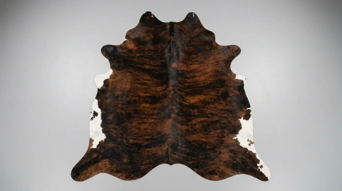 Tricolor cowhide rug flat lay on white background showing full hide shape