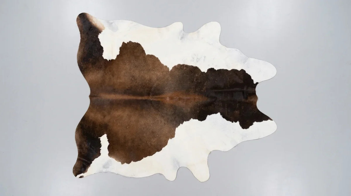 Tricolor cowhide rug flat lay on white background showing full hide shape
