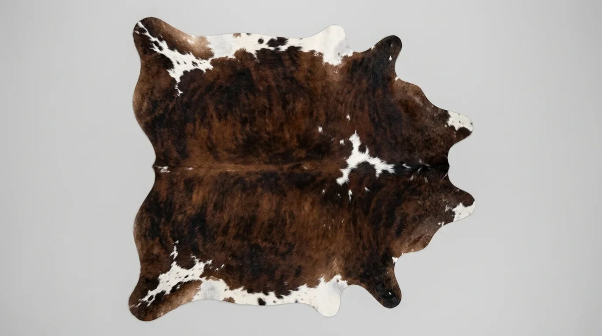 Tricolor cowhide rug flat lay on white background showing full hide shape