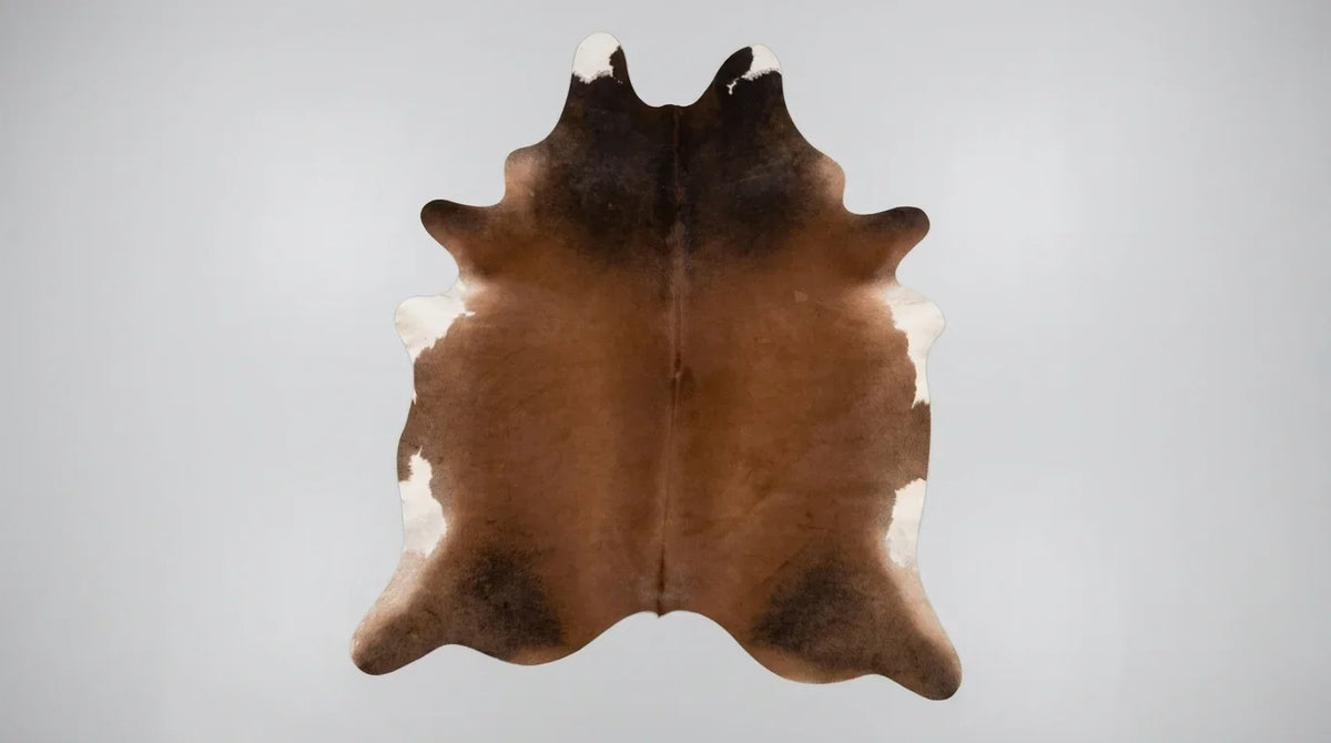 Tricolor cowhide rug flat lay on white background showing full hide shape