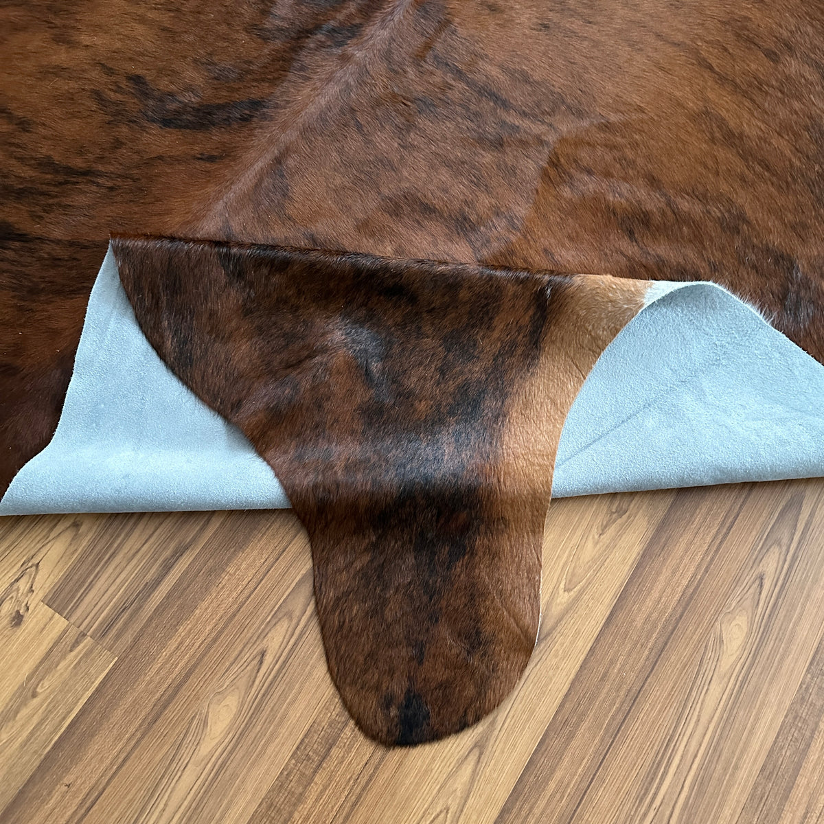 Close-up texture of Tricolor tricolor cowhide rug — Dark brown base with white markings on head, back, and lower legs